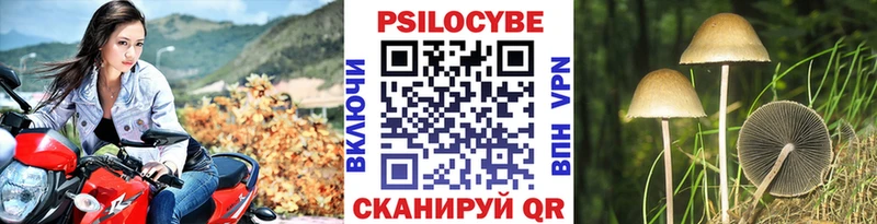 OMG ссылки  Сунжа  Галлюциногенные грибы Psilocybine cubensis  закладка 
